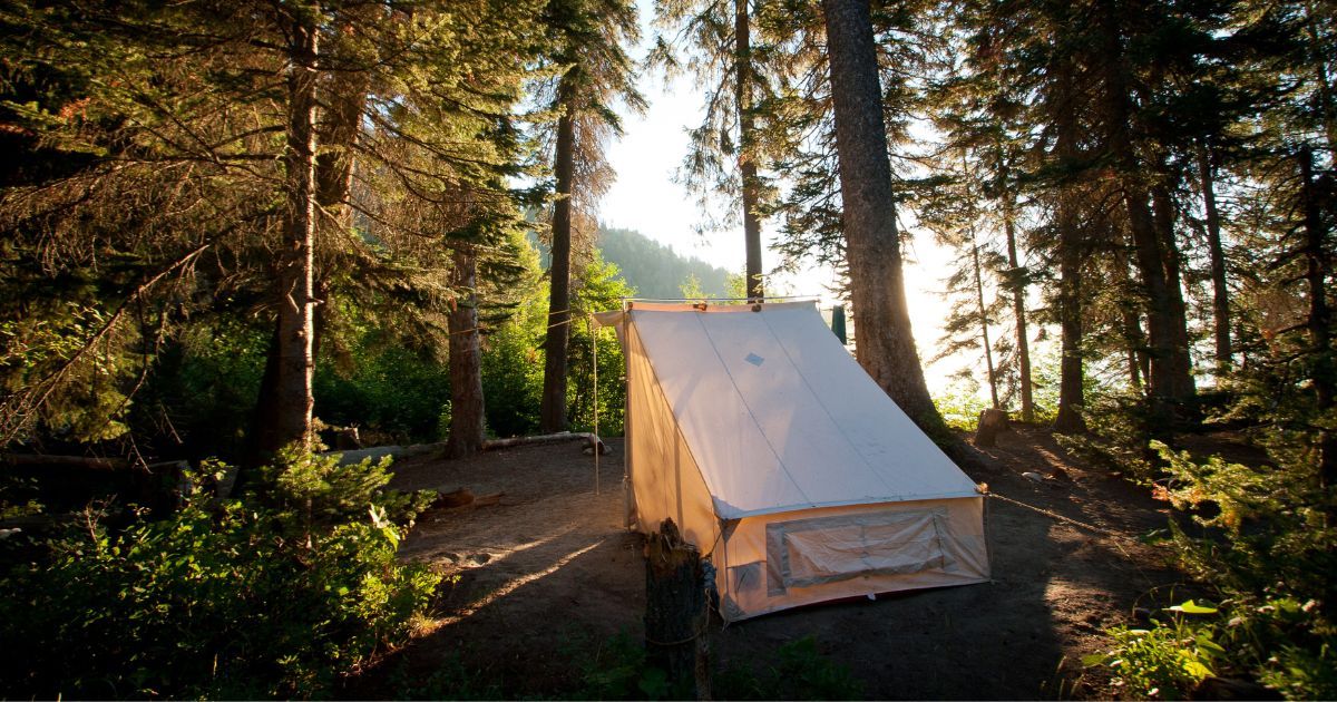 canvas tent setup in the forest