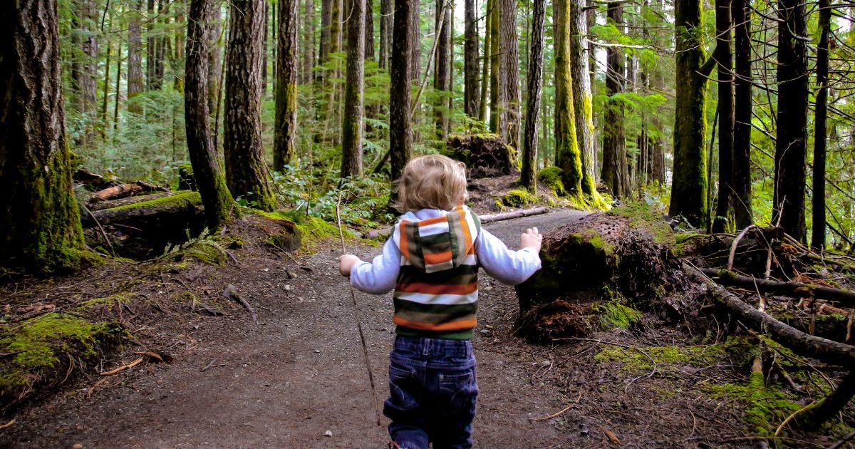 toddler on a hike