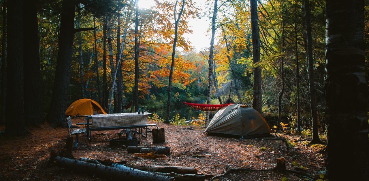 two tents setup in a forest