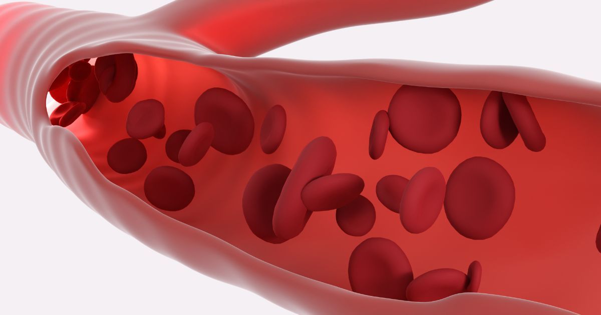 render of blood cells traveling through veins