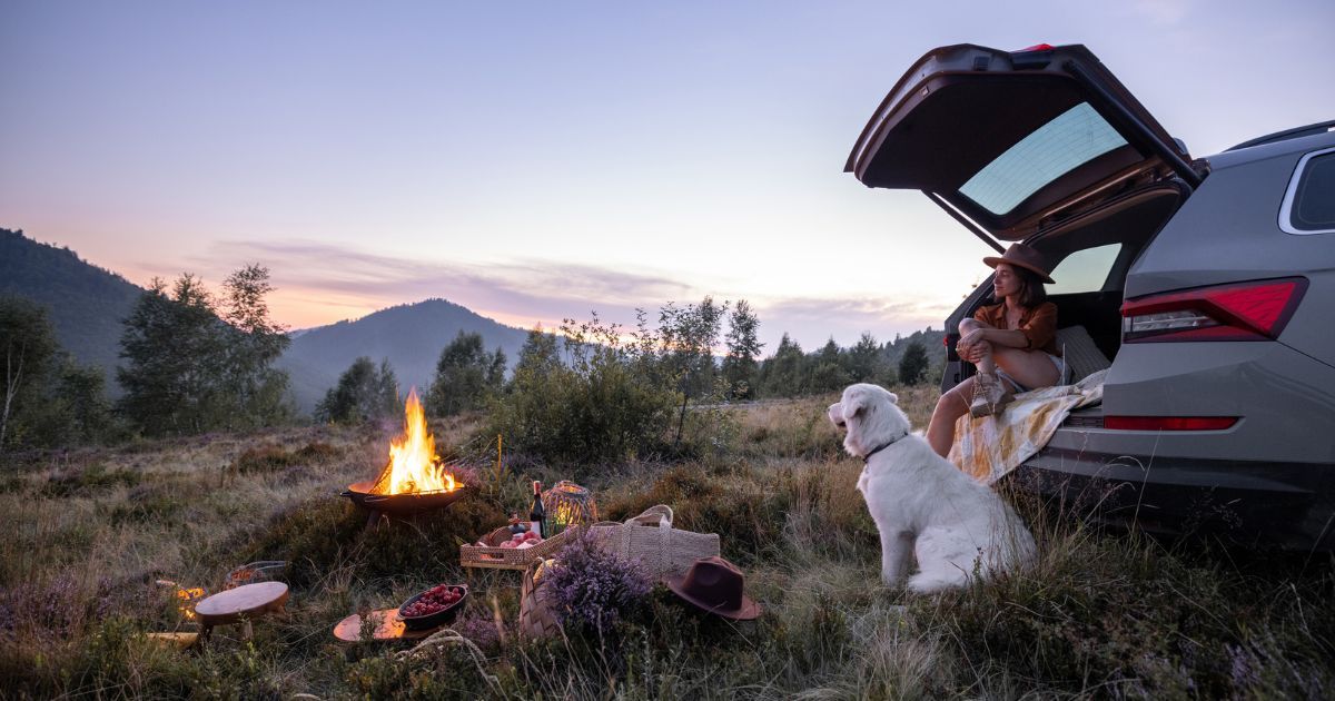 How to camp with a dog