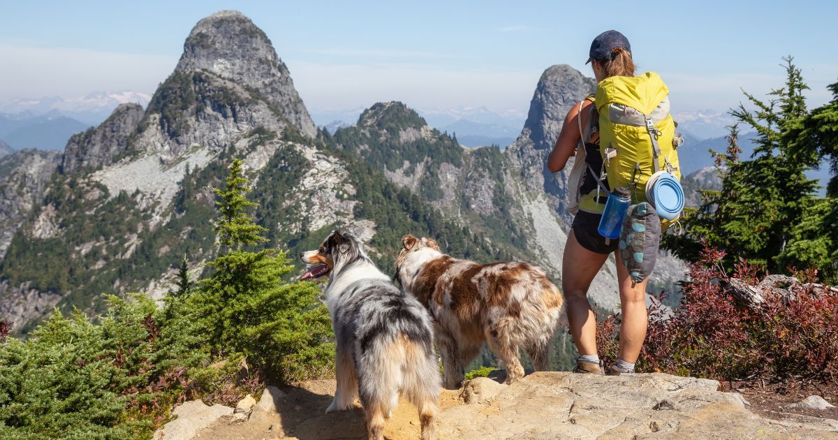 woman and two dogs looking at a mountain view in warm weather