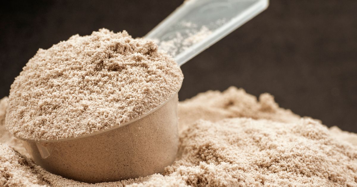 close up scoop of protein powder