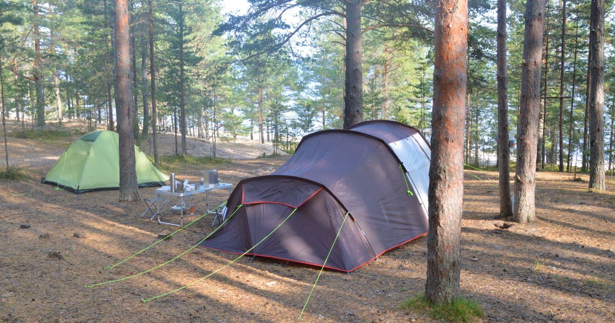 tent setup in forest