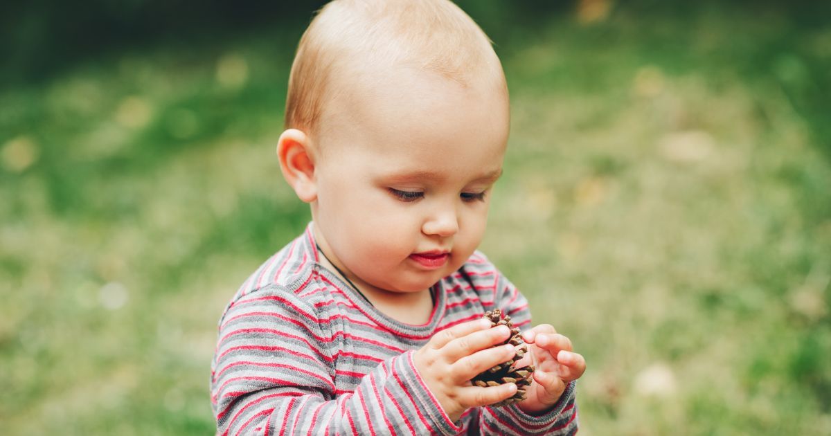 baby holding and looking at pinecone