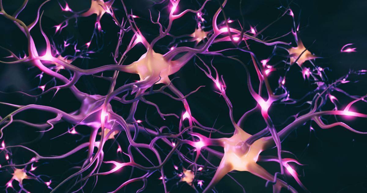 3d rendered image of neuron cells