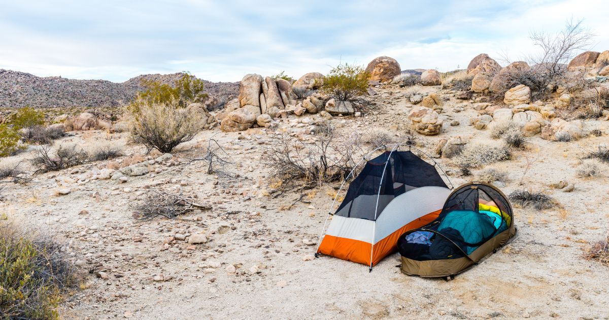 two small tents set up in Joshua Tree