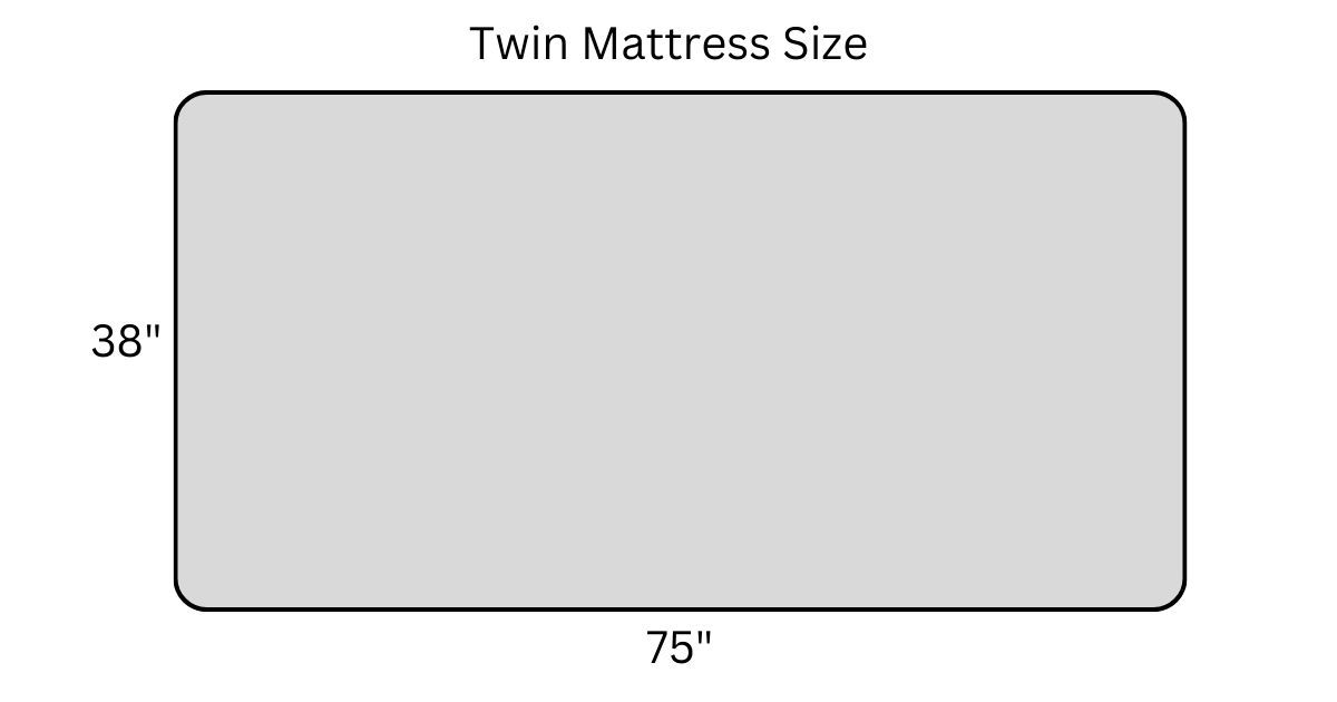 illustration of twin bed size