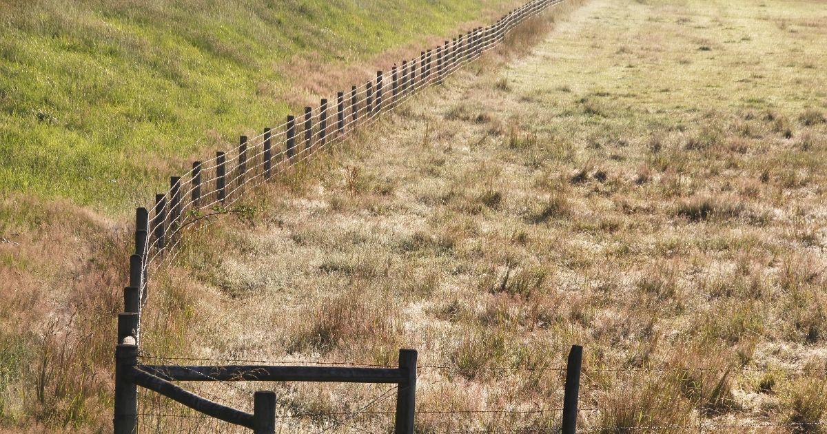 fence separating land