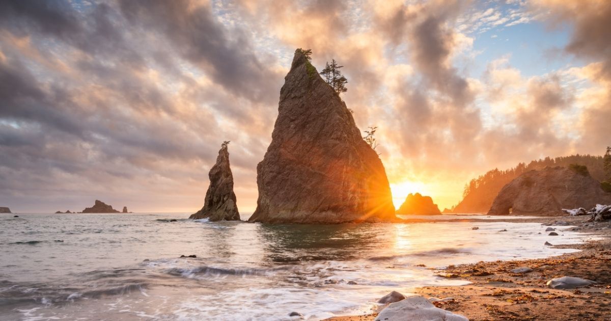 Beach in Olympic National Park