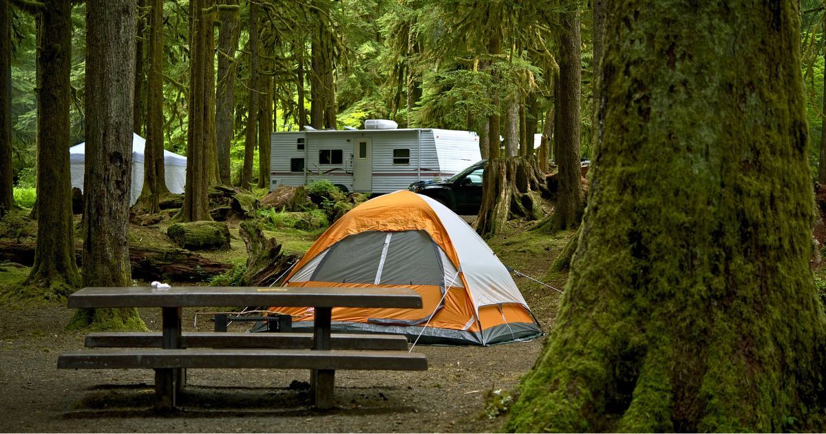 rv and tent at a campground int the forest