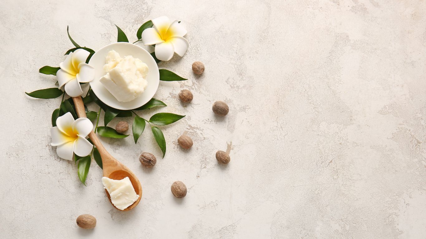 shea butter with nuts on grey background