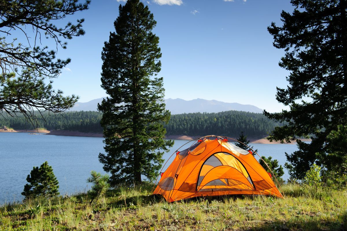 tent setup by a lake between trees