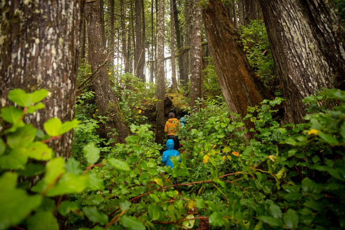 Backpacking Poncho vs Rain Jacket: Which Reigns Supreme for Hikers?
