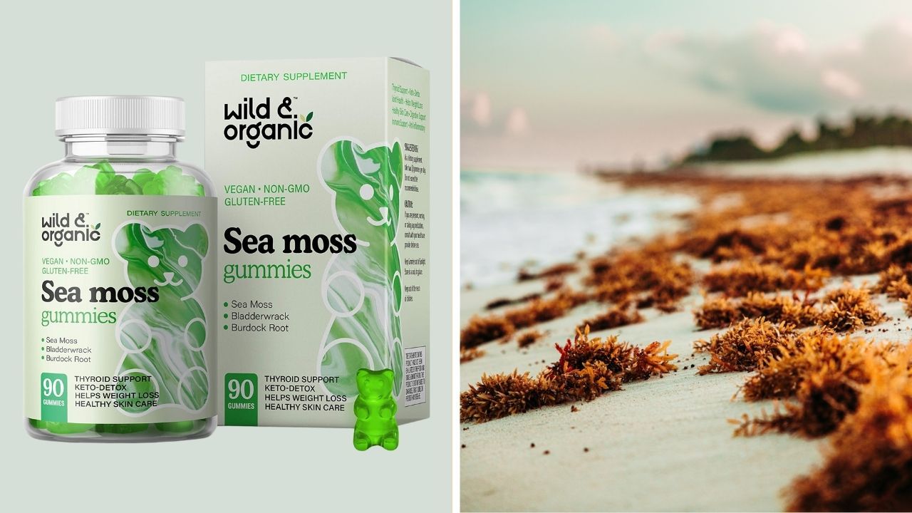 Supercharge Your Health With The Best Sea Moss Gummies!